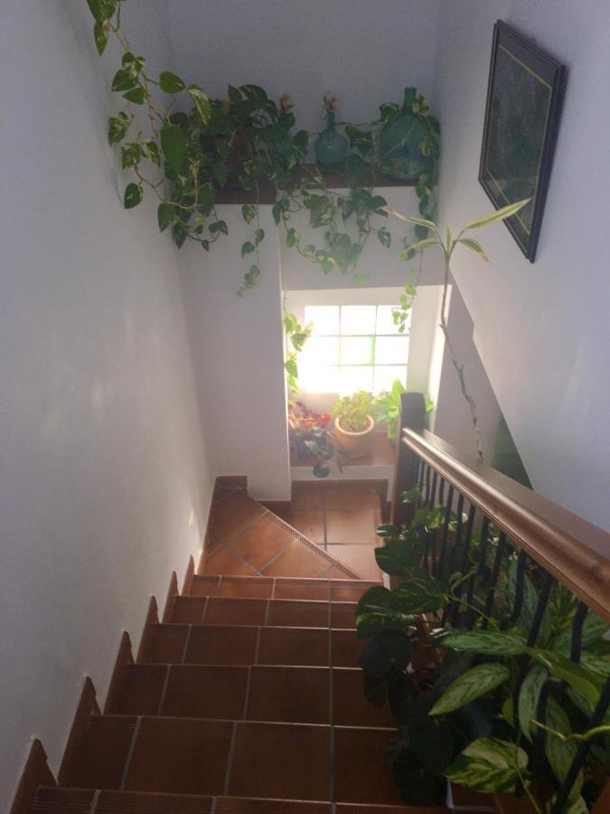Pensjonat La Granada Orgiva Zewnętrze zdjęcie